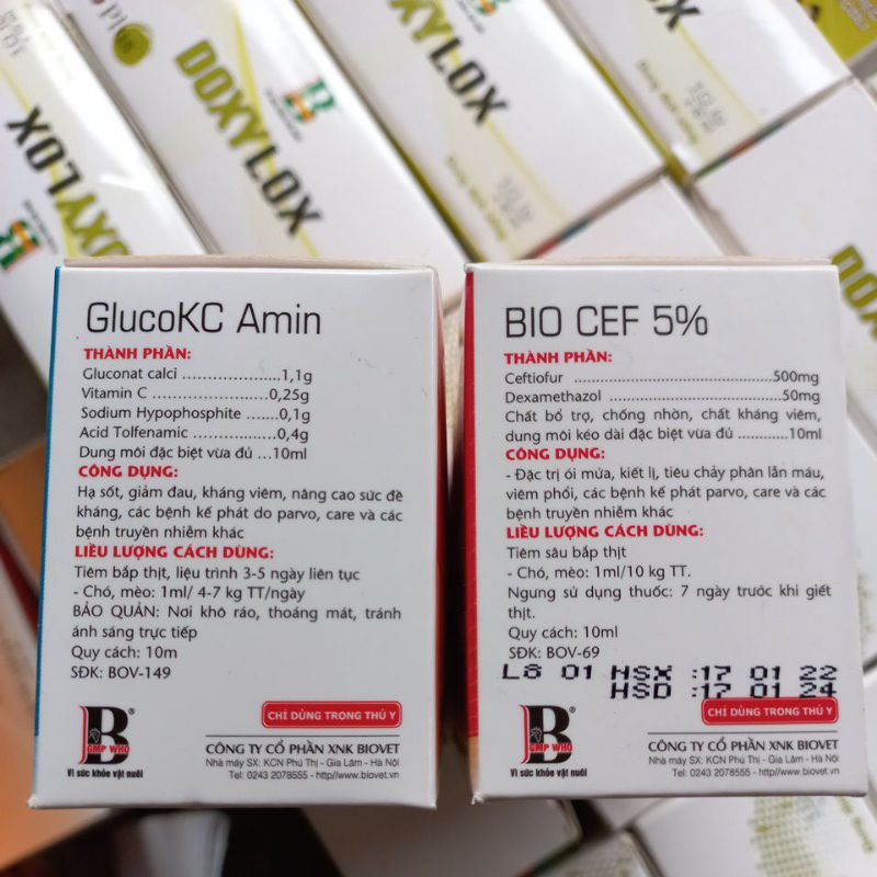 Cặp chó mèo cao cấp Cef Gluco kc ( cặp 2 lọ)