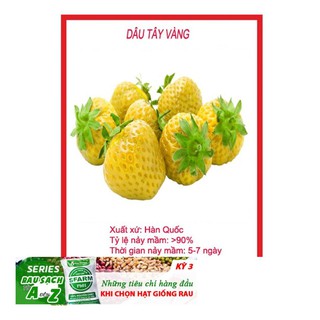 HẠT GIỐNG DÂU TÂY VÀNG 50H