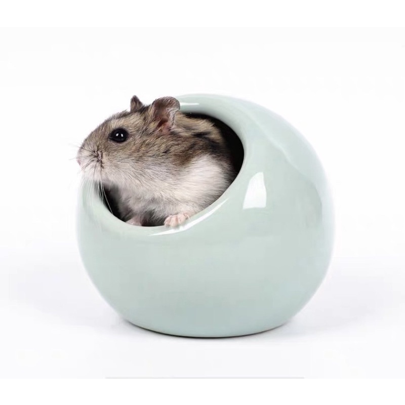 Nhà sứ tròn dành cho hamster