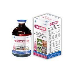 [ Giá rẻ] UV-SOMAX [100ml] [20ml]