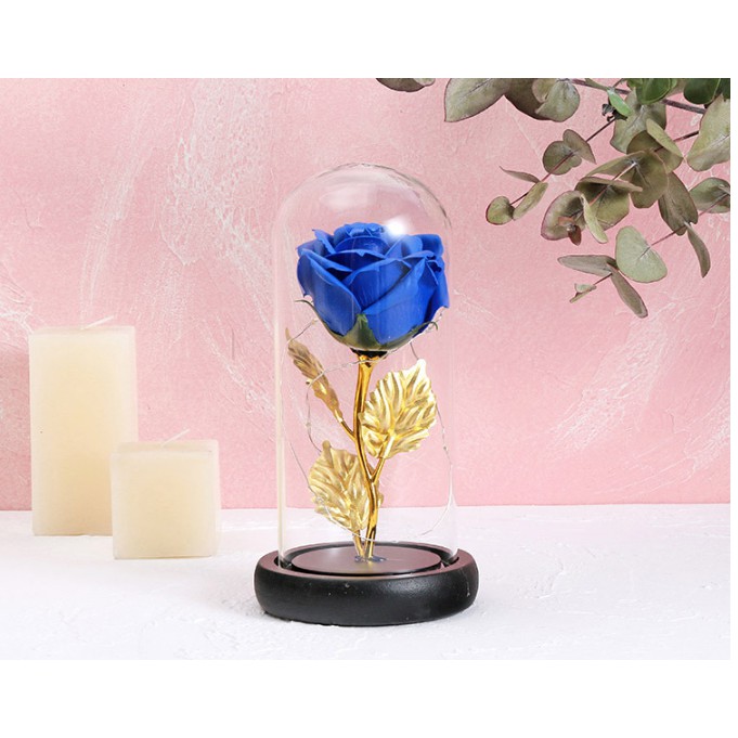 Đèn ngủ kiểu dáng quái vật hoa hồng trang trí