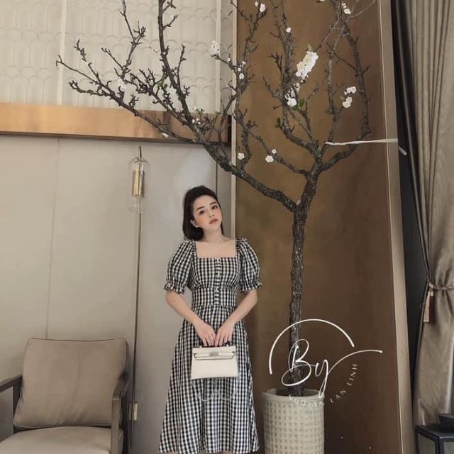 ĐẦM SỌC ĐEN