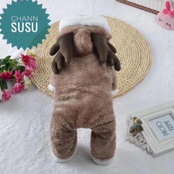 QUẦN ÁO CHÓ MÈO -  jenn