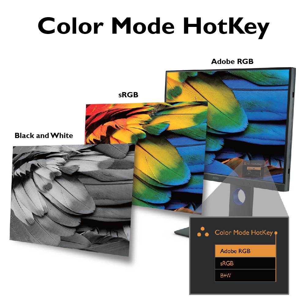 Màn hình máy tính BenQ SW240 24 inch 24" IPS 99% AdobeRGB 100% sRGB chuyên xử lý hình ảnh cho nhiếp ảnh gia | BigBuy360 - bigbuy360.vn