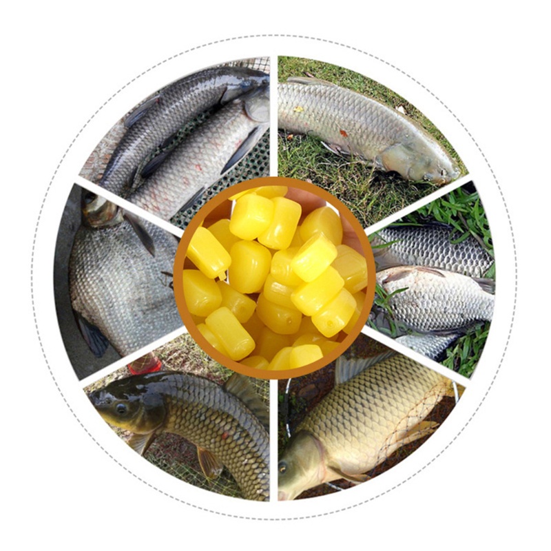 QQ Hộp 275 Dụng Cụ Câu Cá Chuyên Dụng Chất Lượng Cao