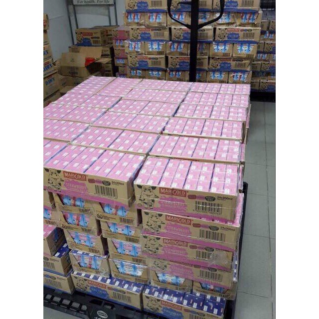 Thùng sữa tươi Marigold Singapore date T6/2024