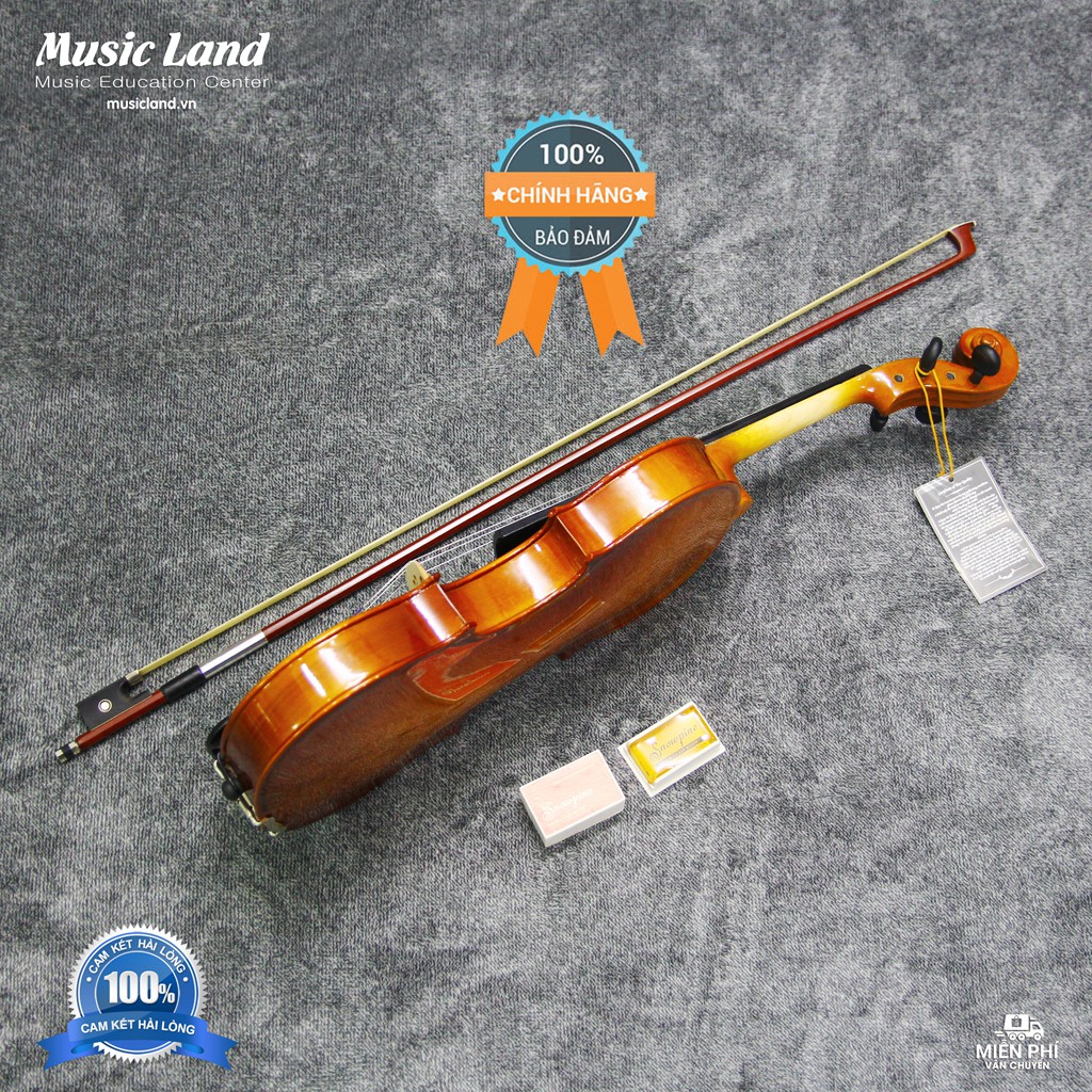 Đàn Violin dành cho Người Mới Học