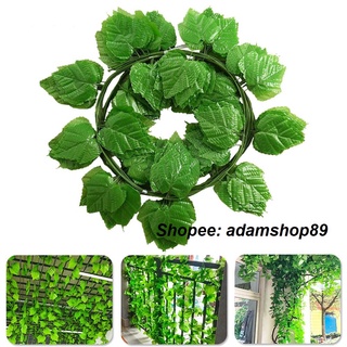 Dây lá nho cuống xanh dài 2,3 - 2,5m (lá to)