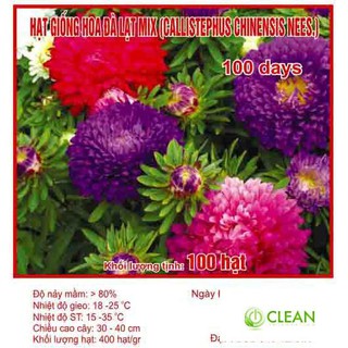 Hạt giống Cúc Đà Lạt (100 hạt)