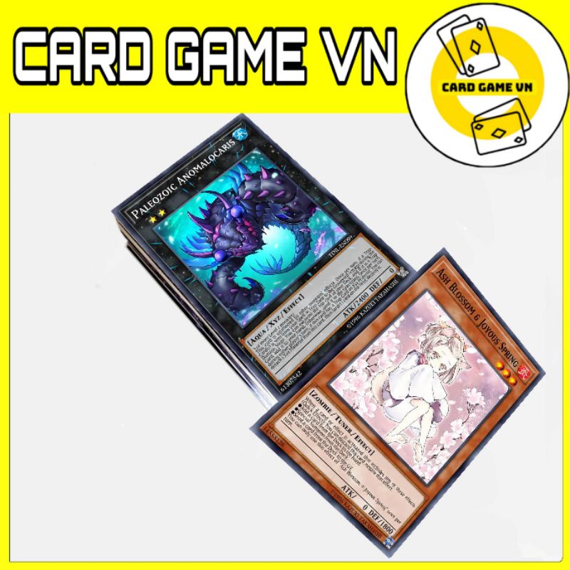 [BÀI IN] Bài YuGiOh - Bộ 54 lá bài Pure Paleozoic ( Pure Paleozoic Deck ) - Card Game VN