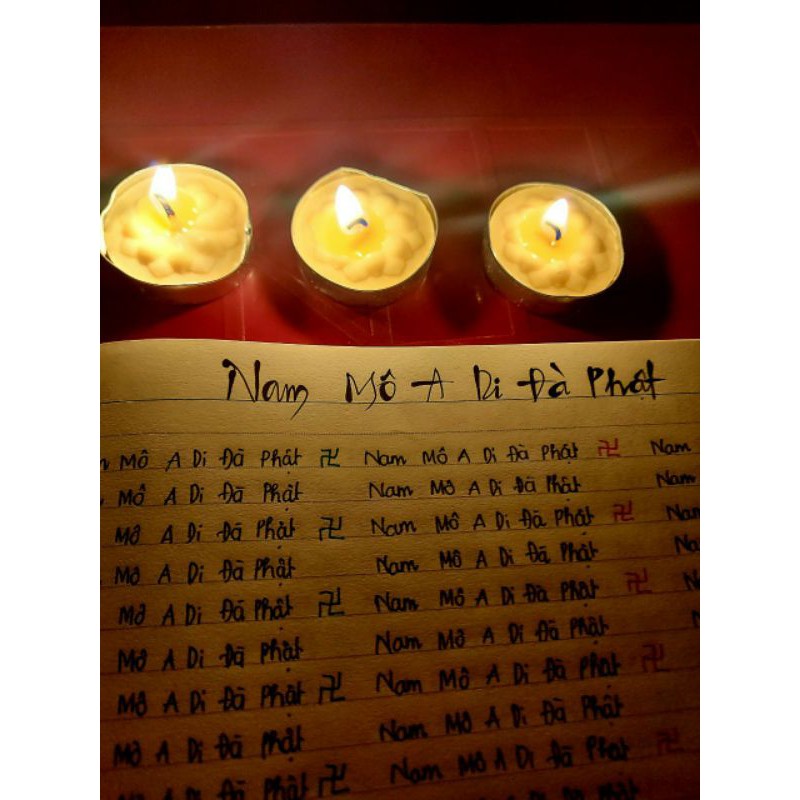 KHO SỈ- NẾN TEALIGHT HOA MAI 100 VIÊN KHÔNG KHÓI-KHÔNG MÙI- AN TOÀN MÔI TRƯỜNG