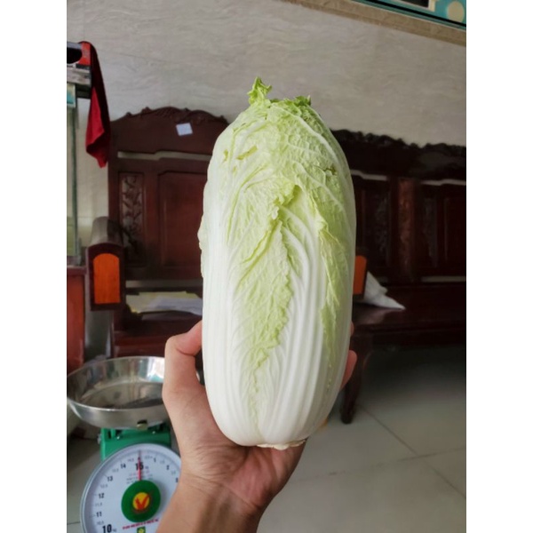 Rau cải thảo (1kg)