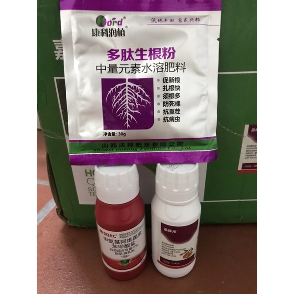 Combo trĩ, nhện đỏ hoa hồng