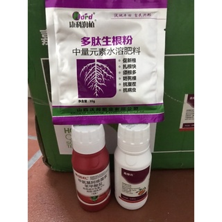 (Tặng Kích rễ) Combo trĩ, nhện đỏ hoa hồng
