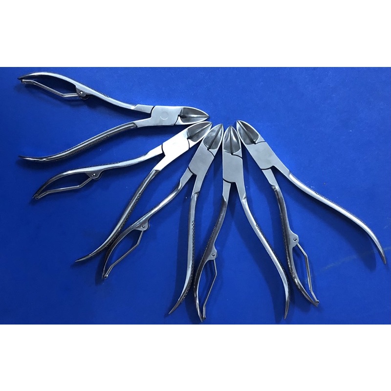 KÌM bấm/ cắt nanh lợn con inox