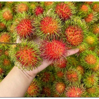Chôm chôm Thái ngon bổ rẻ