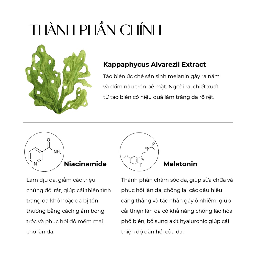 Kem làm mờ nám ban đêm Truesky chiết xuất tảo biển 20g - Melasma Cream