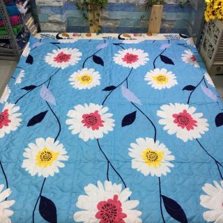 Bộ drap Cotton nguyên bộ 5 món