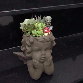 CHẬU TRỒNG CÂY HÌNH THIÊN THẦN 👼