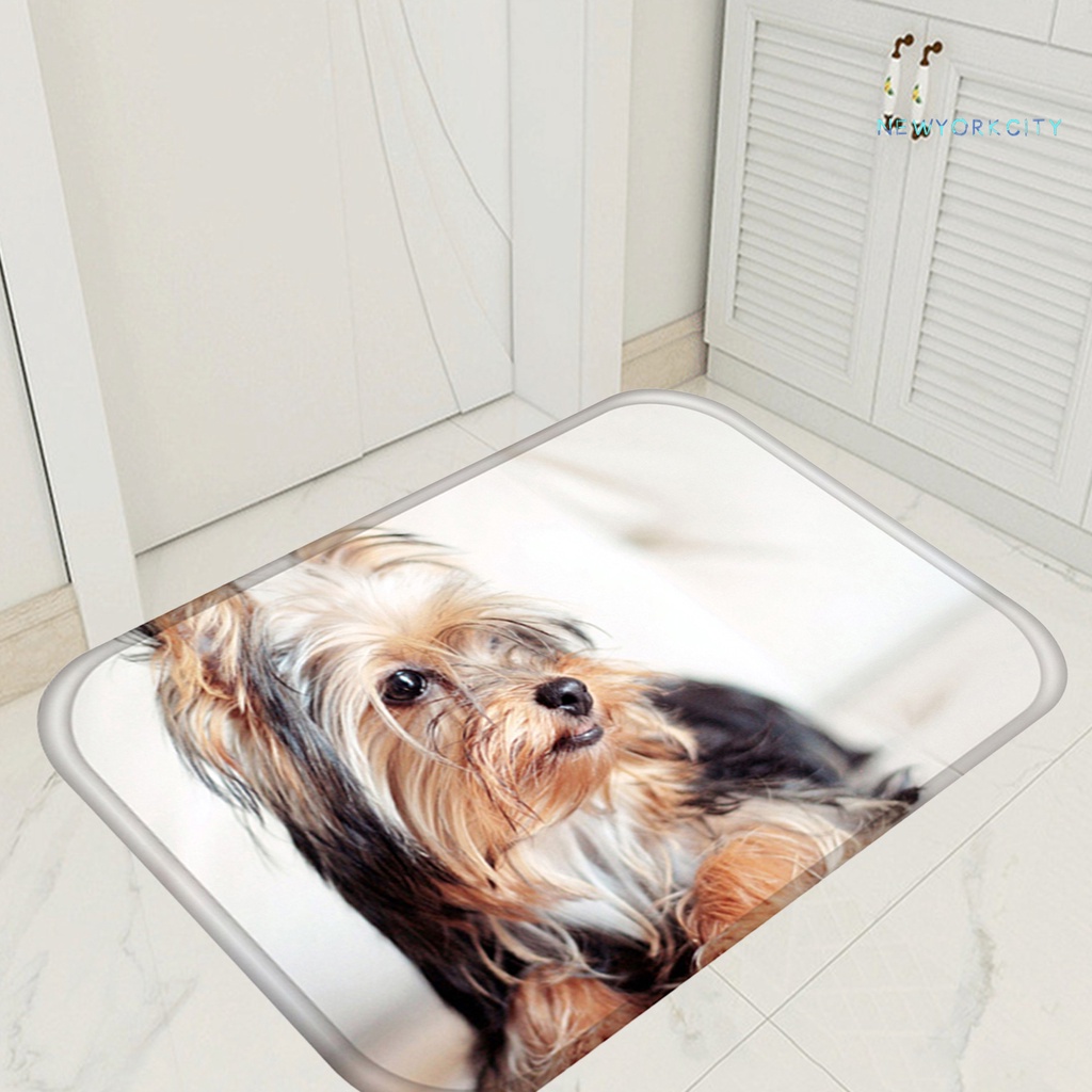 Thảm Chùi Chân Chống Ẩm Siêu Thấm Hút Tiện Dụng Cho Gia Đình