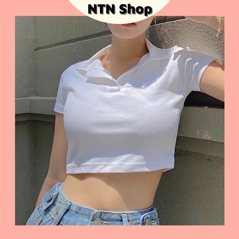 Áo Cổ PoLo ( cổ bẻ ) tay ngắn (ap) thun xịn .