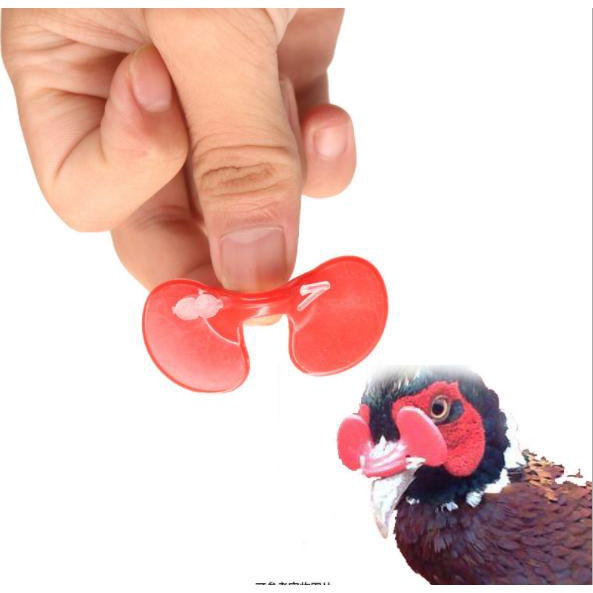 Kính đeo mắt cho gà, kính chống cắn mổ lông nhau,kính gà có chốt xuyên