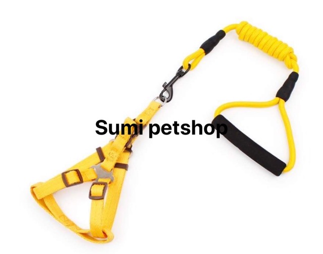 Full bộ Đai Yếm dây dắt cao cấp cho chó
