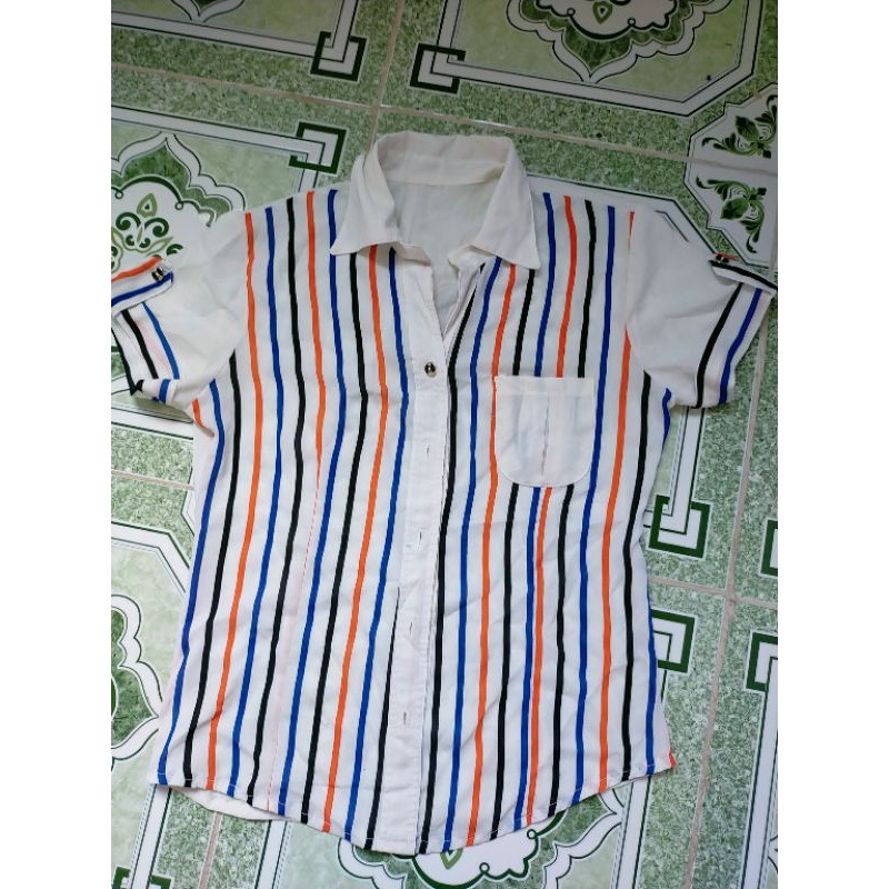 Áo kiểu tl