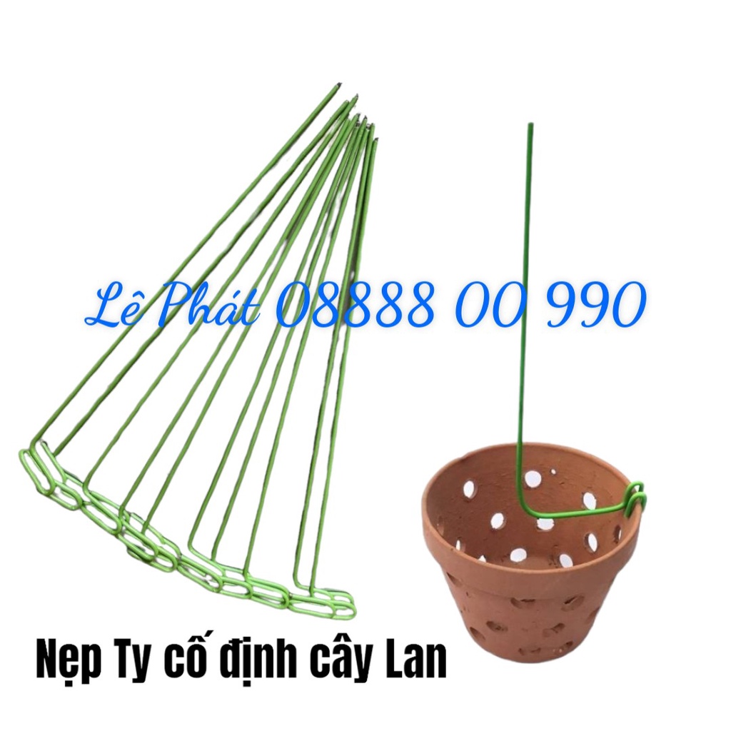 Set 20 cây Ty Kẹp Chậu - Ty 3ly Kẹp giữ cây lan vững chắc