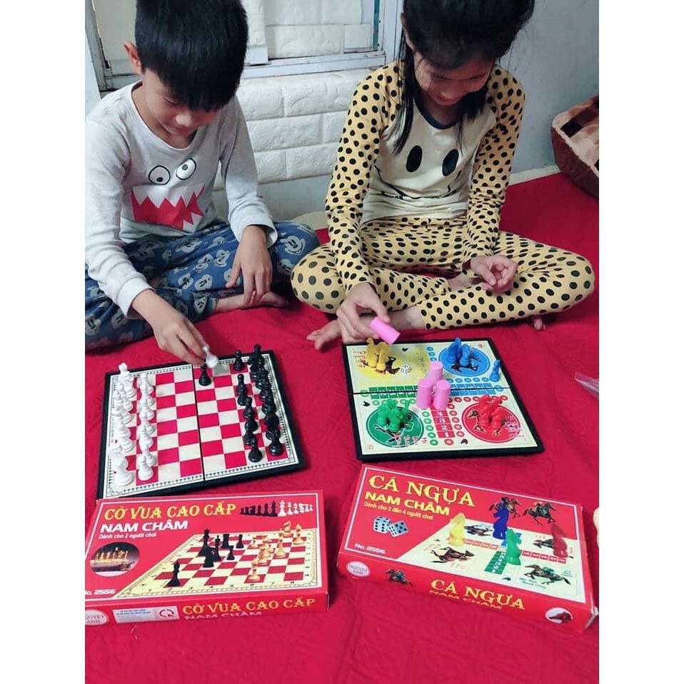 BỘ CÁ NGỰA VÀ BỘ CỜ VUA