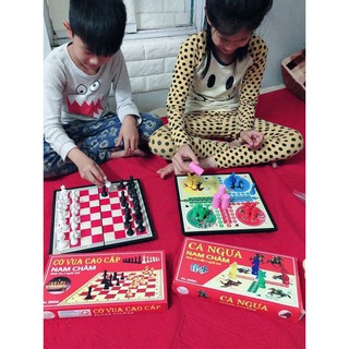 Bộ cá ngựa và bộ cờ vua