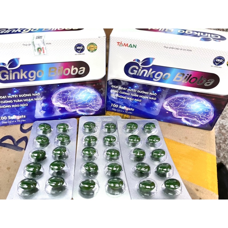 GINKGO BILOBA 360_ TĂNG CƯỜNG HỆ TUẦN HOÀN MÁU NÃO