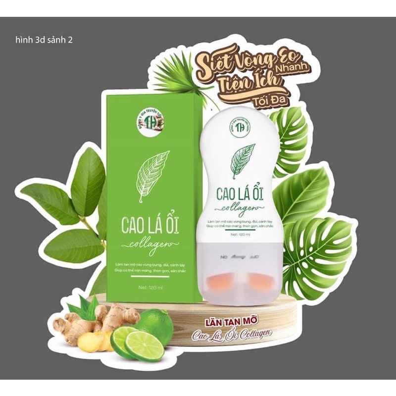 Lăn Tan Mỡ Cao Lá Ổi Colagen TH