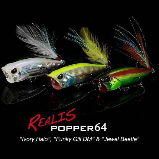 Mồi nổi mặt nước DUO Realis Popper 64 SW