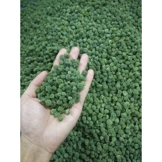500g nụ tam thất bao tử không cuống