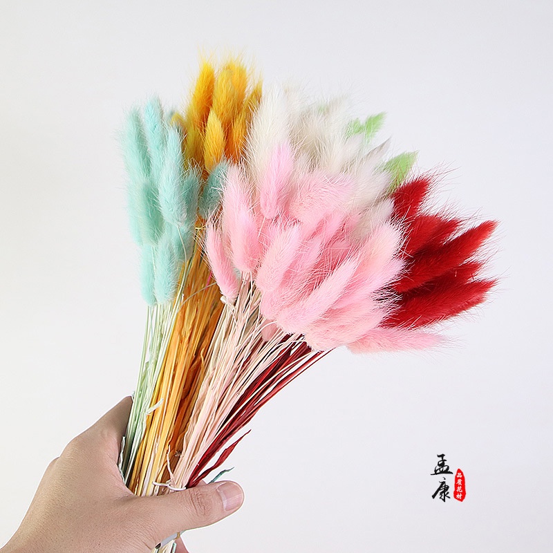 Cỏ đuôi thỏ decor Hoa đuôi thỏ khô SIÊU XINH hoa khô decor trang trí nhà cửa phòng ngủ