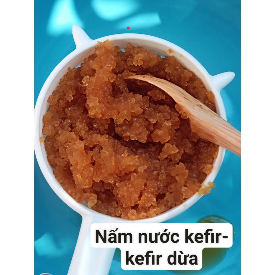 Water kefir- Nấm nước (kefir dừa) 20g làm nước ngọt có gas