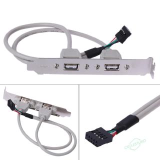 CS 2 Port Rear Panel Bracket Motherboard Cable USB 2.0 Connector Cable Adapter