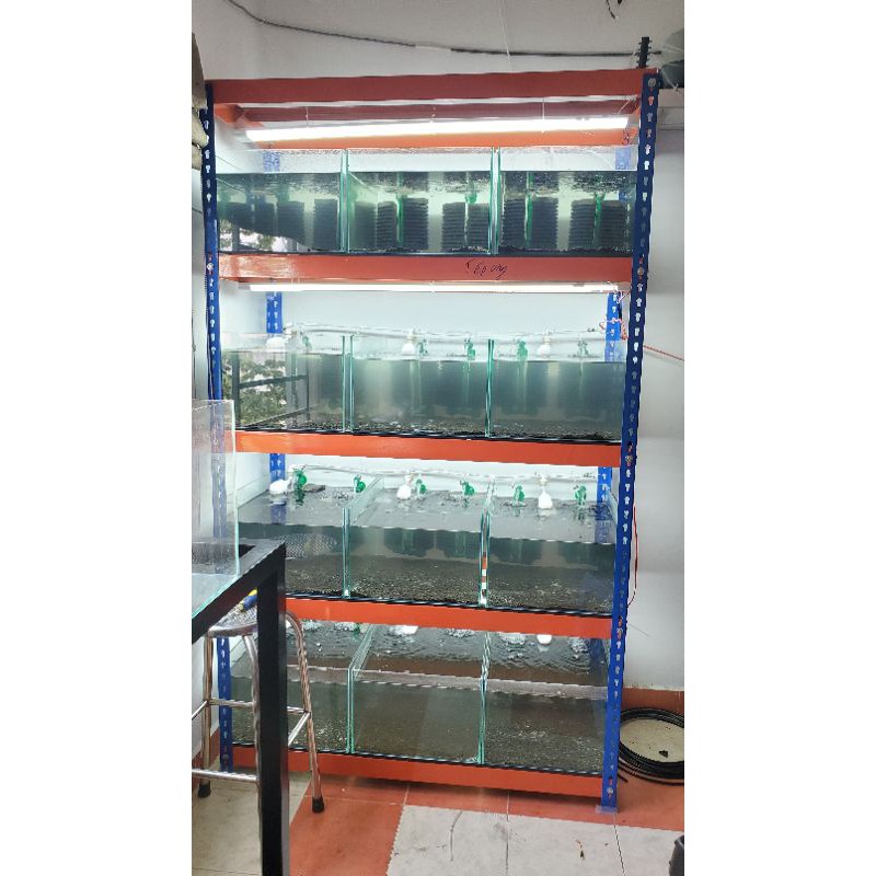 Hồ kính siêu trong dán giấu keo theo kích thước