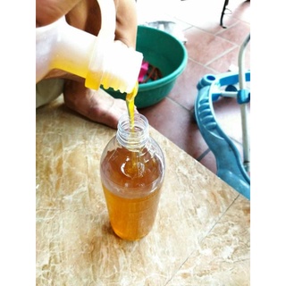 Mật ong hoa cà phê - Tây Nguyên