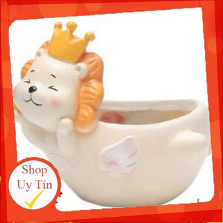Chậu sư tử bay🔥 |freeship 🌺 siêu xinh | lỗi 1 đổi 1