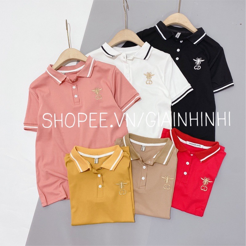 Xả hàng - Áo thun cổ bẻ nữ thêu nhện dáng vừa ngắn tay AT1033 - NhiNhi Shop