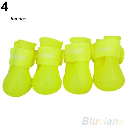 Set 4 Giày Bốt Cao Su Đi Mưa Cho Thú Cưng
