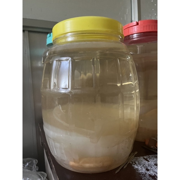 Giấm nuôi + con giấm dày khỏe