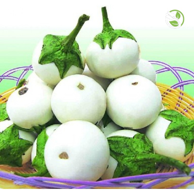 Hạt Giống Cà Pháo Trắng Cao Sản Phú Nông - Gói 0.5g - F1 Small White Eggplant PHU ...