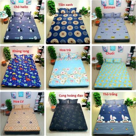 Ga trải giường,ga bọc đệm,đủ kích thước,rẻ nhất hà nội,alana GT119