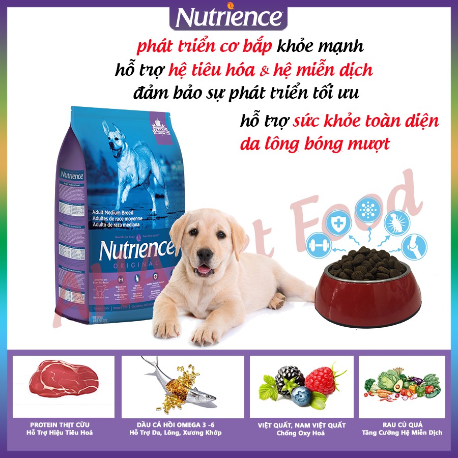 [Nhập Khẩu Canada] Thức Ăn Cho Chó Labrador Nutrience Original Bao 11,5kg Phát Triển Cơ Bắp - Thịt Cừu, Rau Củ, Trái Cây