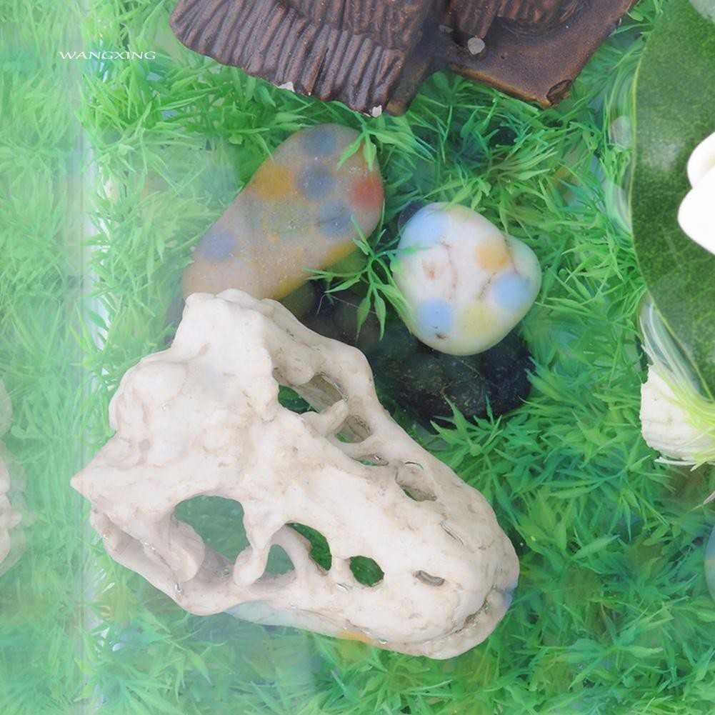 Mô hình đầu sọ khủng long bằng nhựa trang trí bể cá