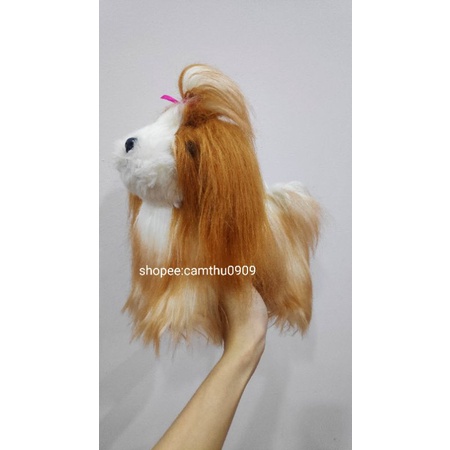 Gấu bông chó lông xù mịn giống thật nhiều mẫu lựa chọn