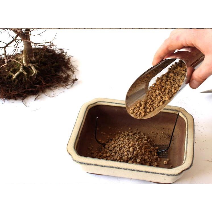 Akadama size ss đất nung nhật Ryusen túi 1000-1100ml dùng cho bonsai, terrarium